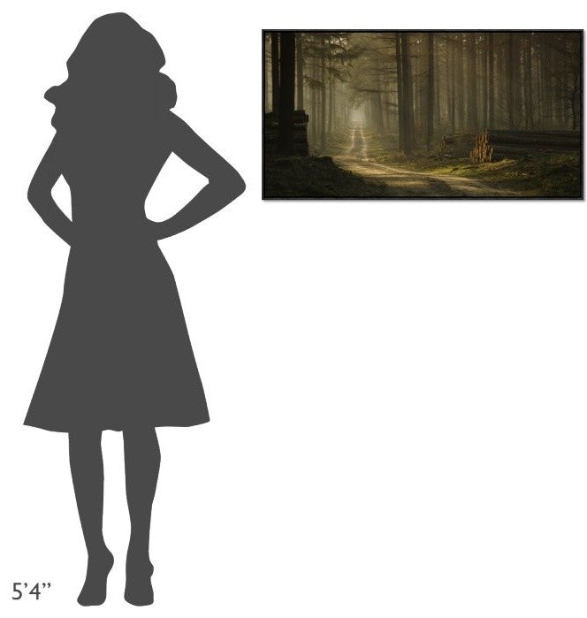 "A Forest Walk" Framed Canvas Giclee by Jan Paul Kraaij, 37x19"