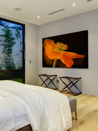 "Dramatic Orange Poppy" Painting Print on Canvas