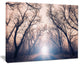 "Mysterious Sunlight in Forest" Landscape Photo Wall Art, 20"x12"