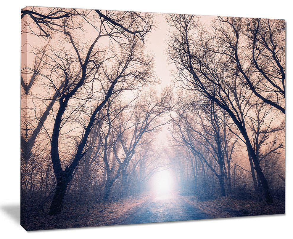"Mysterious Sunlight in Forest" Landscape Photo Wall Art, 20"x12"