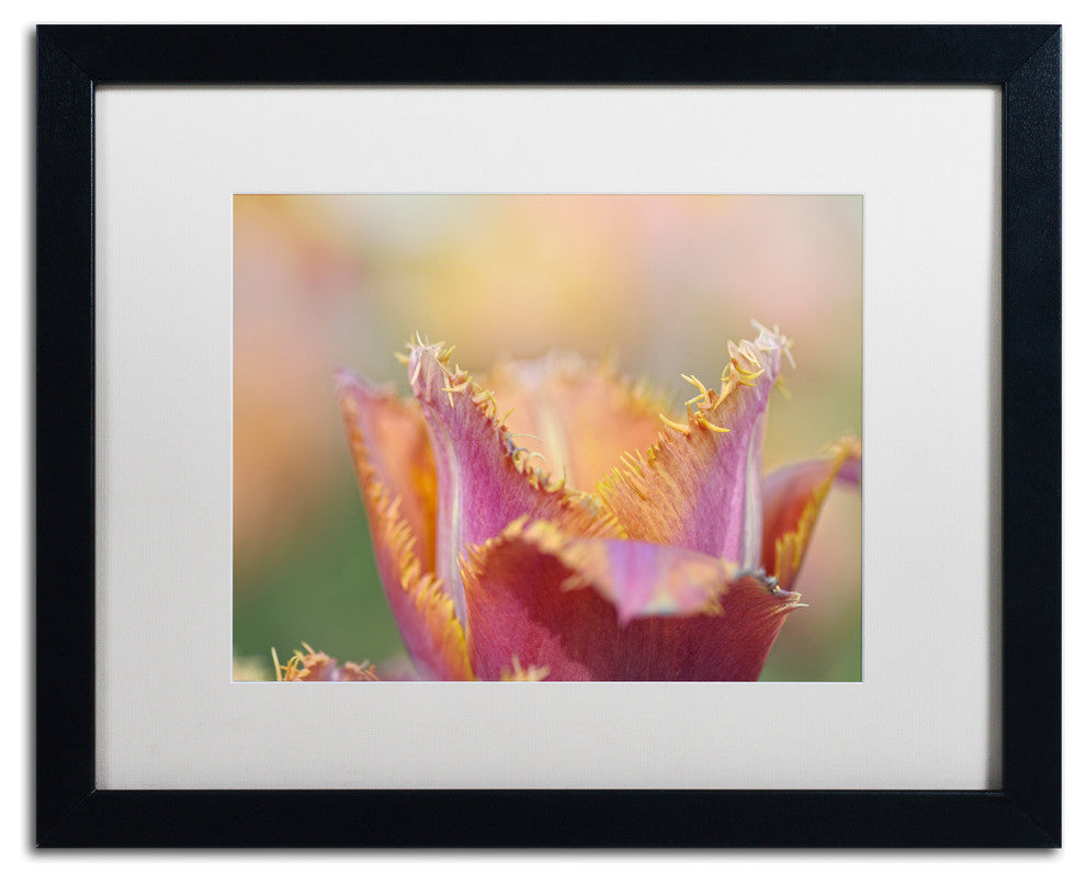 Cora Niele 'Tulip Crispa' Matted Framed Art