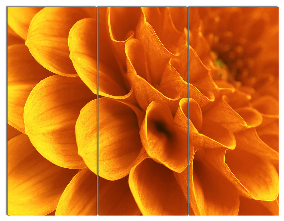Yellow Abstract Floral Design, Floral Triptych Canvas Art Print, 36x28, 3 Panels