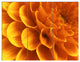 Yellow Abstract Floral Design, Floral Triptych Canvas Art Print, 36x28, 3 Panels