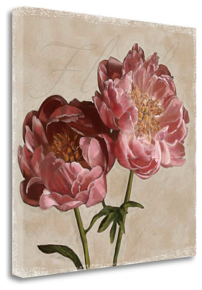 "Peony II" By Janel Pahl, Giclee Print on Gallery Wrap Canvas, Ready to Hang