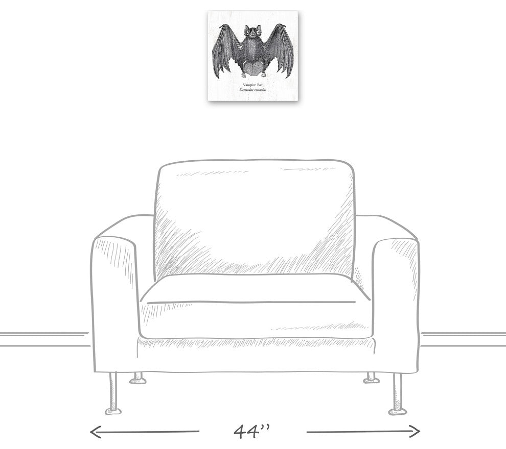 Vampire Bat 12x12 Canvas Wall Art