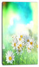 Chamomiles on Abstract Background, Floral Canvas Art Print, 16"x32"