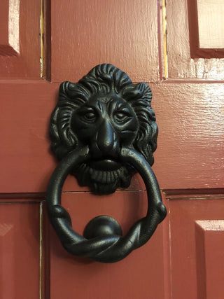 Lion Head Design Front Door Knocker Matte Finish 6" H x 3-3/4" W Gate Knocker