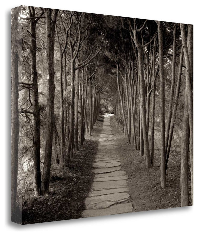 "Banc De Jardin - 75" By Alan Blaustein, Giclee Print on Gallery Wrap Canvas