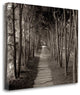 "Banc De Jardin - 75" By Alan Blaustein, Giclee Print on Gallery Wrap Canvas