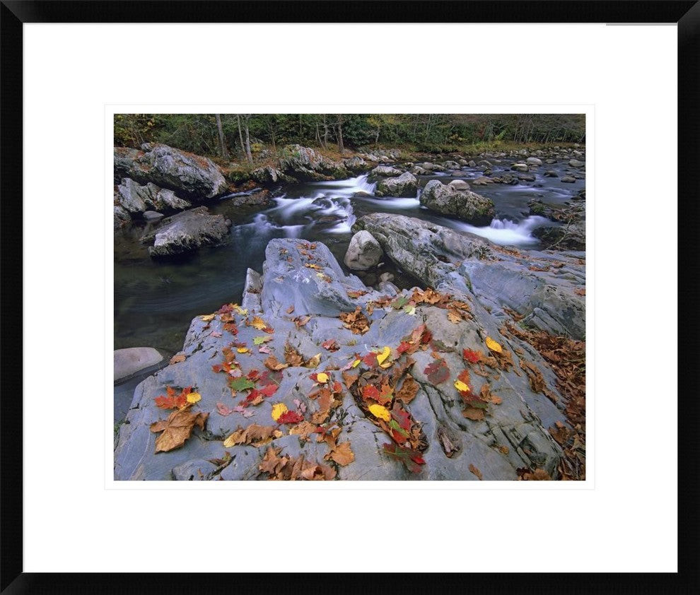 Little Pigeon River, Great Smoky Mountains National Park, Tennessee, 22"x18"