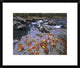 Little Pigeon River, Great Smoky Mountains National Park, Tennessee, 22"x18"