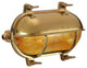 Oval Industrial Bulkhead Wall Sconce Waterproof Wall Light Fixture
