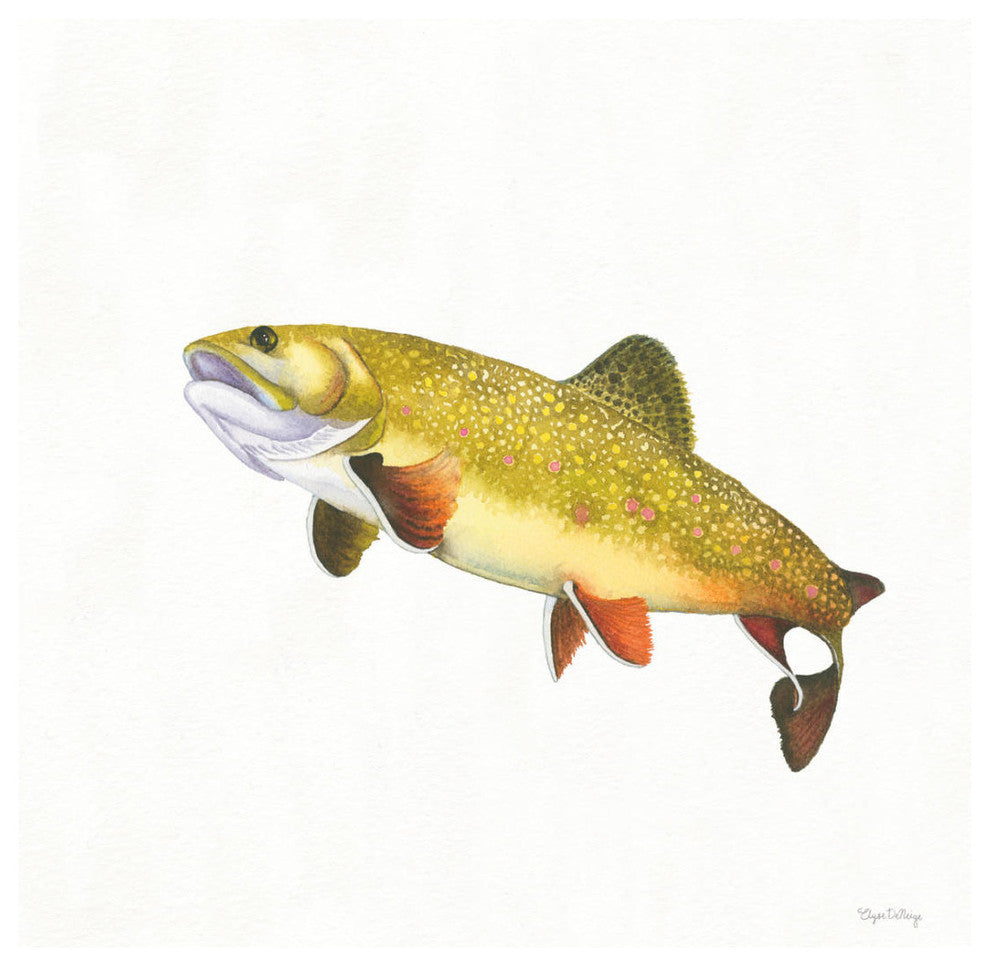 "Gone Fishin Brookie" Digital Paper Print by Elyse DeNeige, 26"x26"