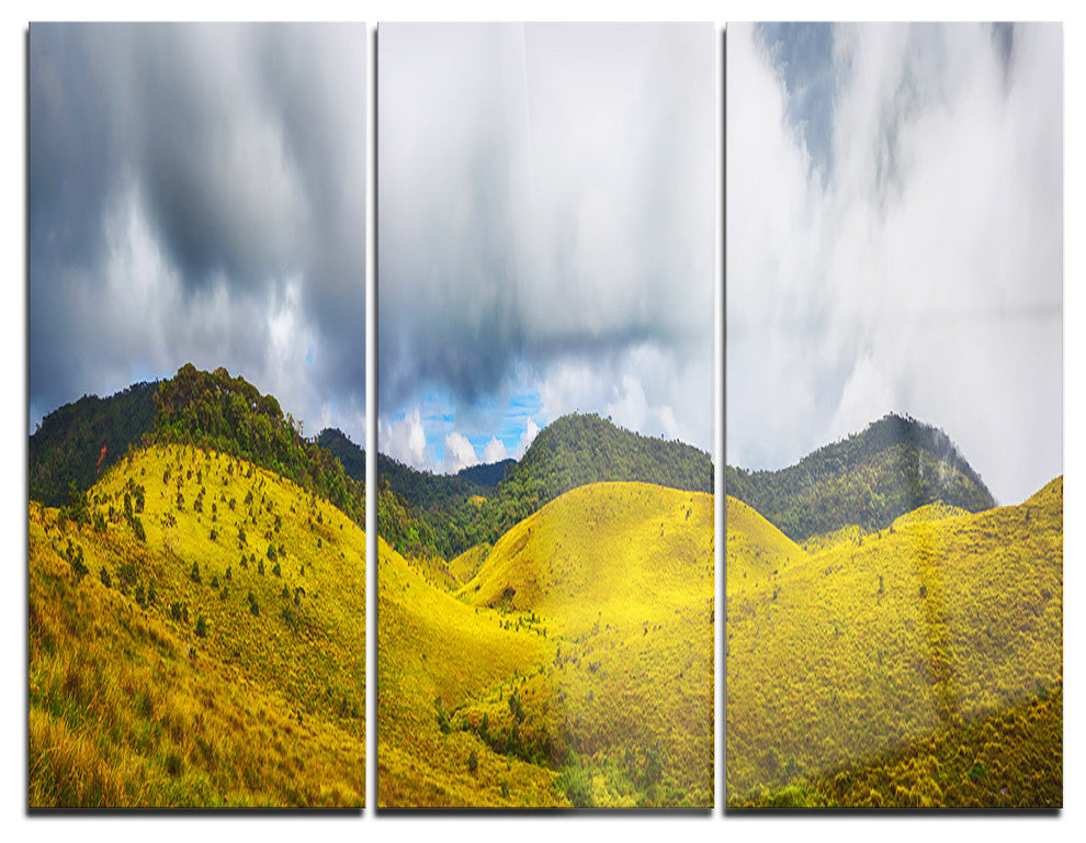 "The Horton Plains" Painting Metal Wall Art, 3 Panels, 36"x28"