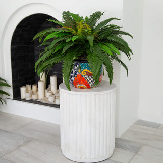 Lifestyle shot showing plant in decorative pot in interior setting; complete product visible.