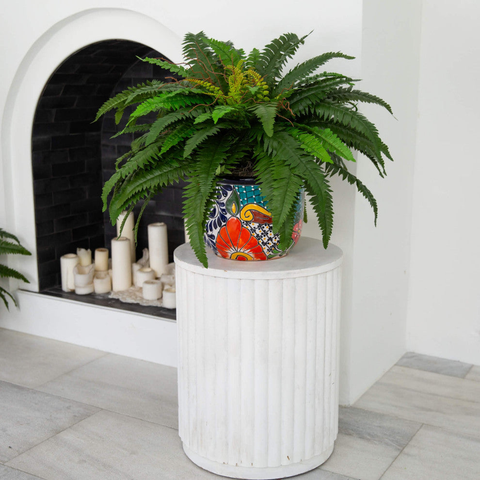Lifestyle shot showing plant in decorative pot in interior setting; complete product visible.