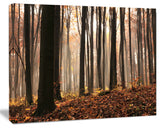 Dark Thick Woods in Fall Forest, Modern Forest Canvas Art, 20"x12"