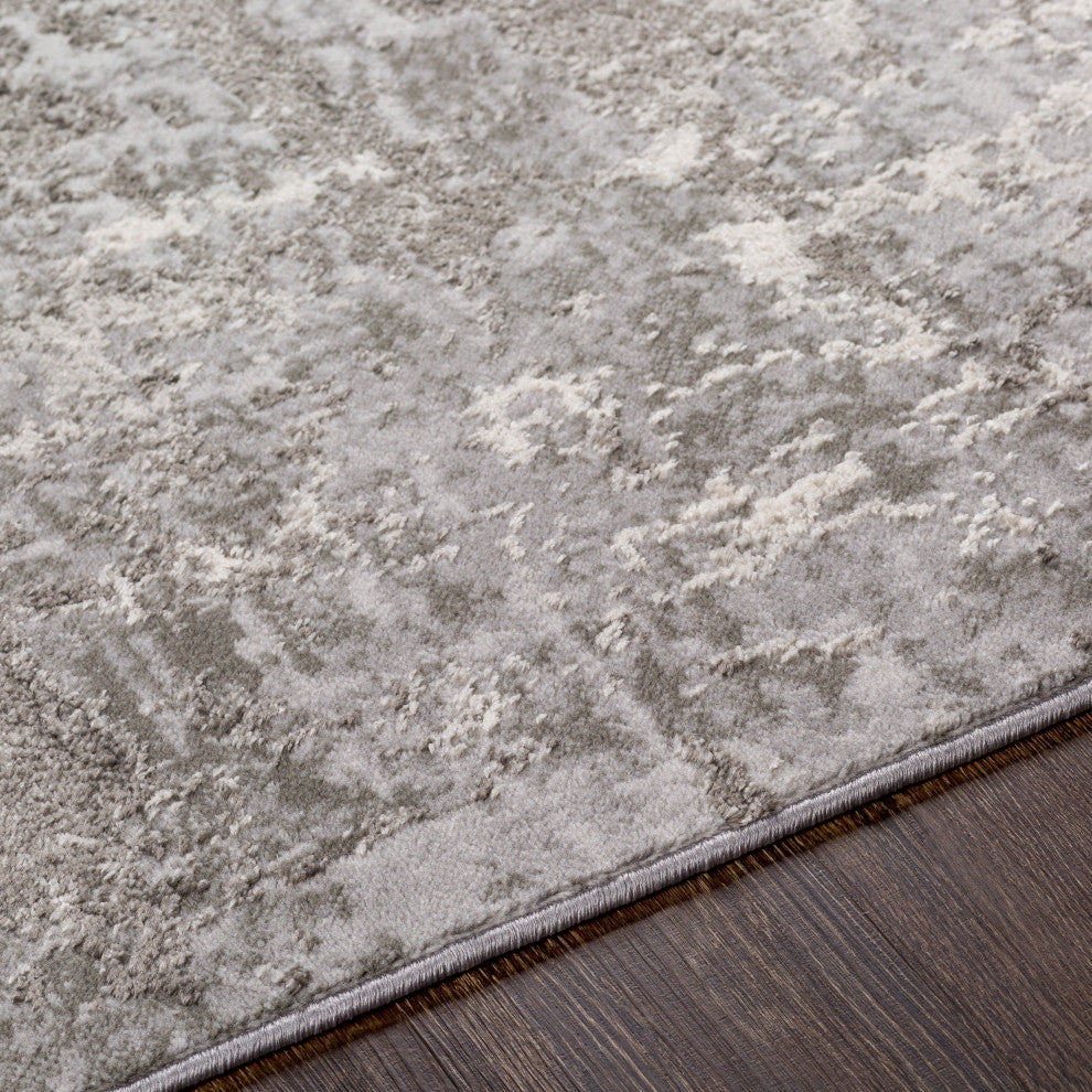 Surya Enfield ENF-2312 Machine Woven Area Rug, Charcoal, 8'10" x 12'