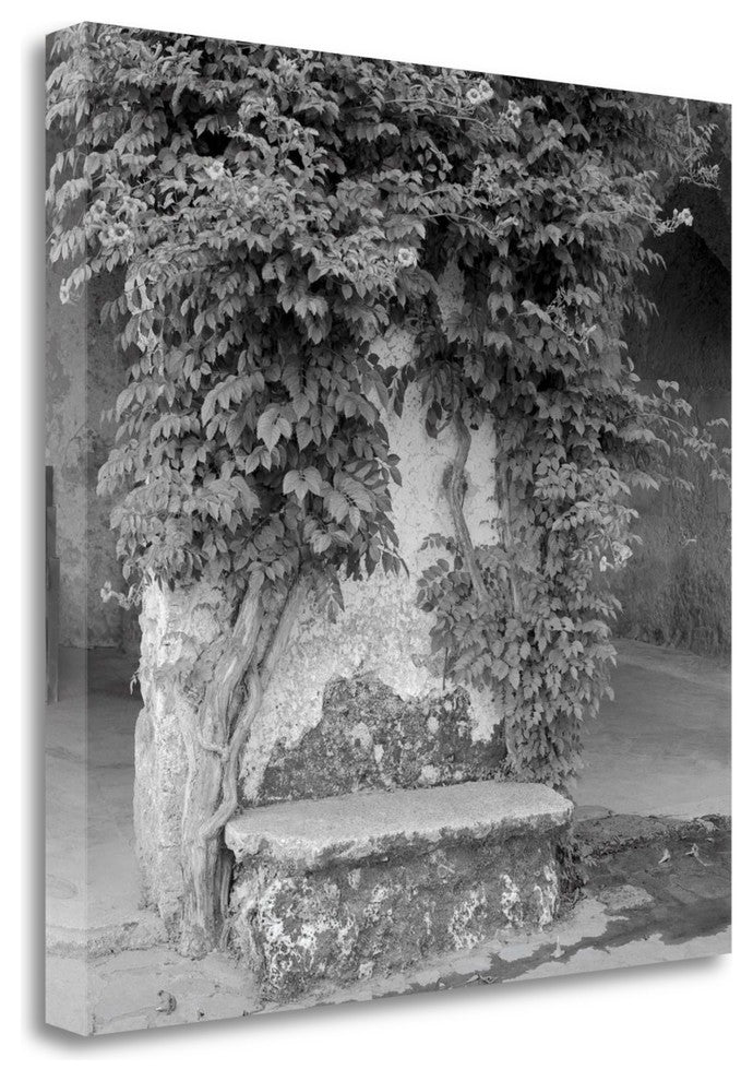 "Campagnia - 2" By Alan Blaustein, Giclee Print on Gallery Wrap Canvas