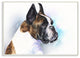 Bo"xer Dog Pet Animal Watercolor Painting, 10"x15"