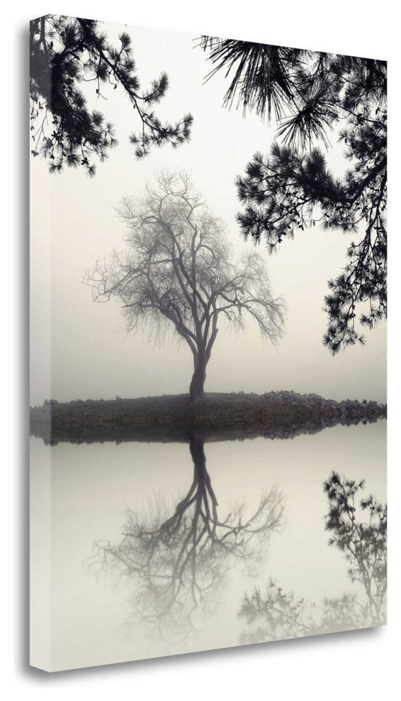"Winter Willow" By Nicholas Bell, Giclee Print on Gallery Wrap Canvas