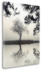 "Winter Willow" By Nicholas Bell, Giclee Print on Gallery Wrap Canvas