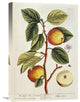 "Apple Tree" Artwork, 15" x 22"