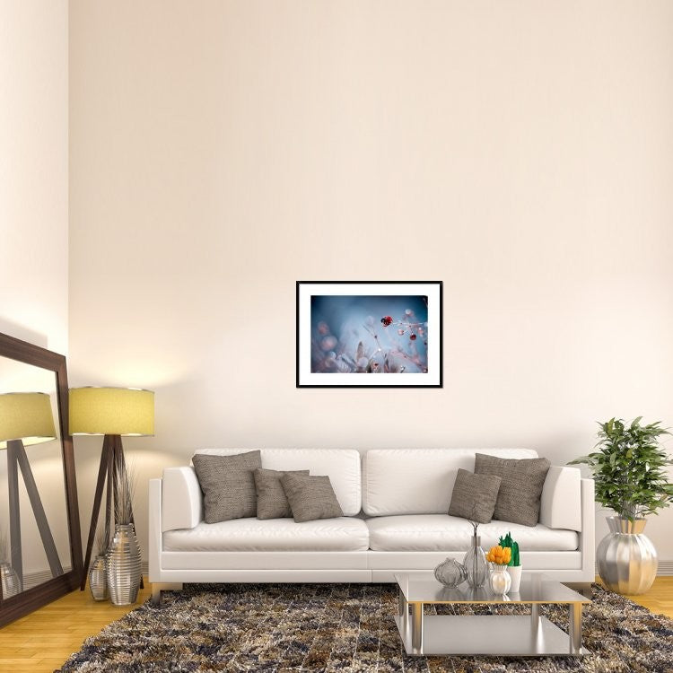 "High Diving" Framed Digital Print by Fabien Bravin, 38"x28"