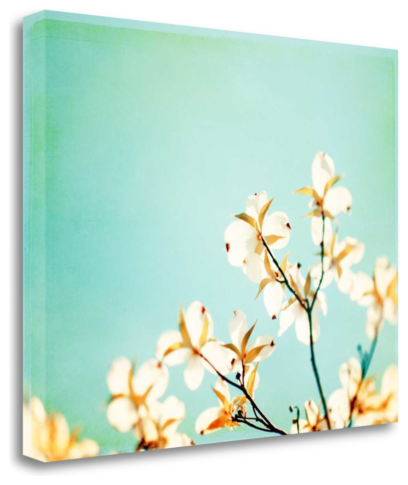 "Blossoms Adrift" By Carolyn Cochrane, Giclee Print on Gallery Wrap Canvas