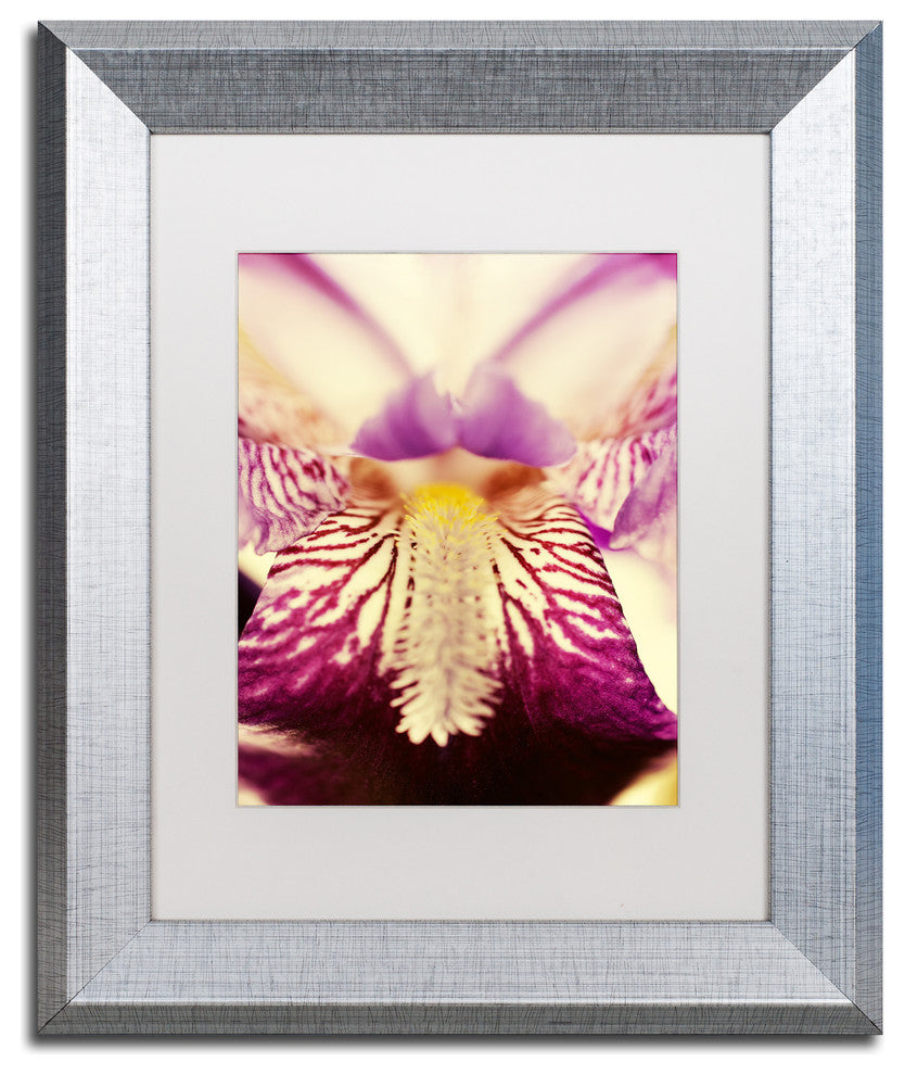 PIPA Fine Art 'Antiqued Iris' Matted Framed Art, 14x11