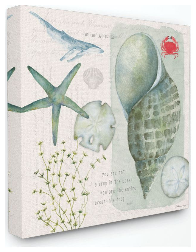 Sea Shell Inspirational Word Beach Coast Drawing, 24"x24"