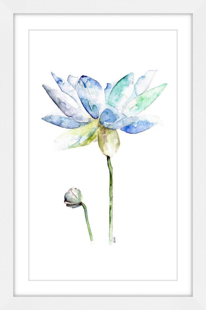 "Lotus" Framed Print by Rachel Byler