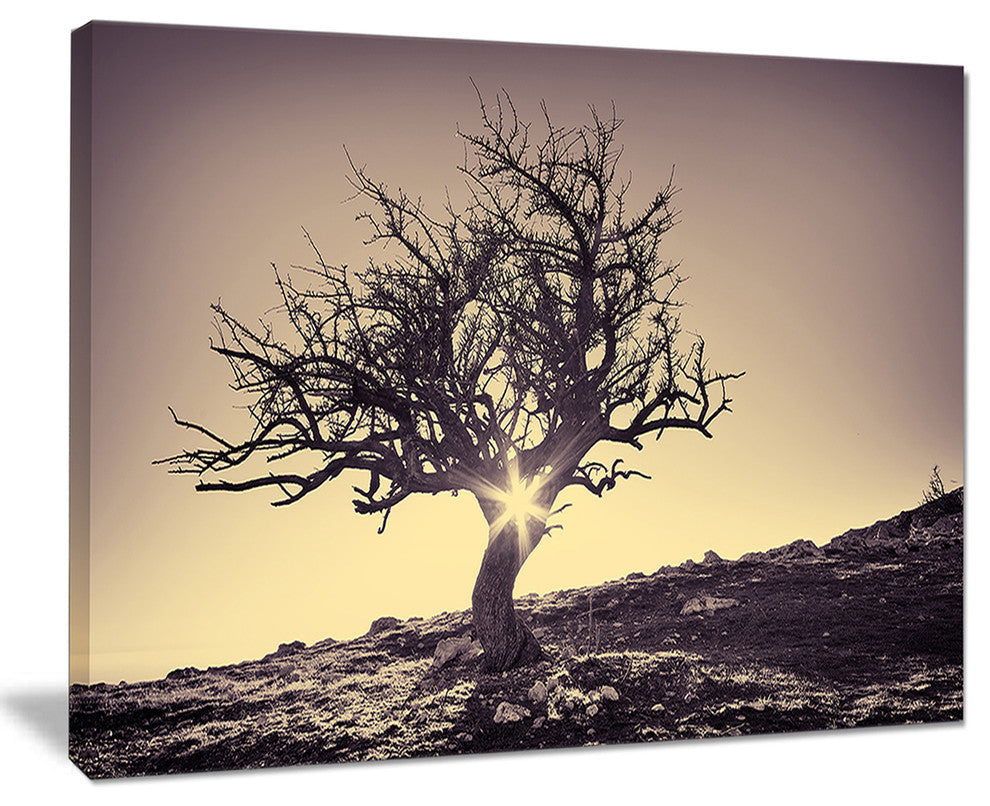 "Lonely Grey Tree in Mountain" Wall Art Landscape, 40"x30"