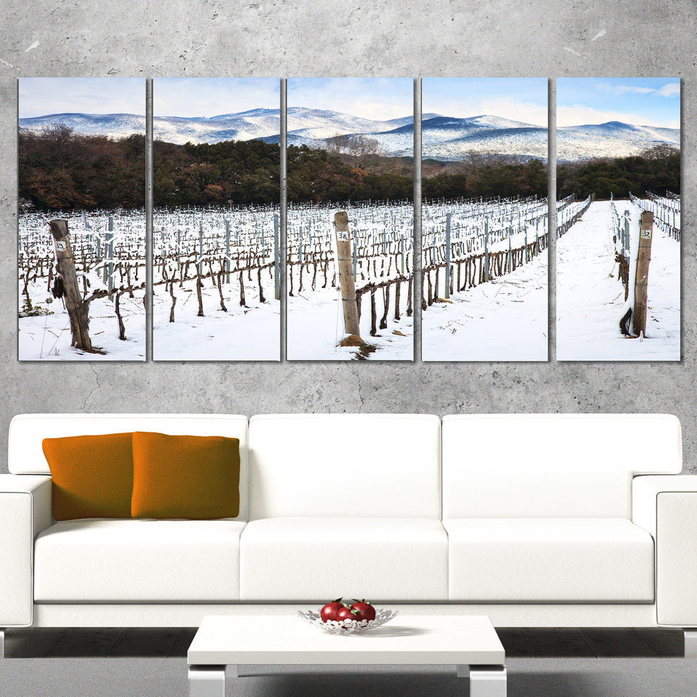 Snow Covered Vineyard Rows Italy, Landscape Canvas Art, 60"x28", 5 Panels