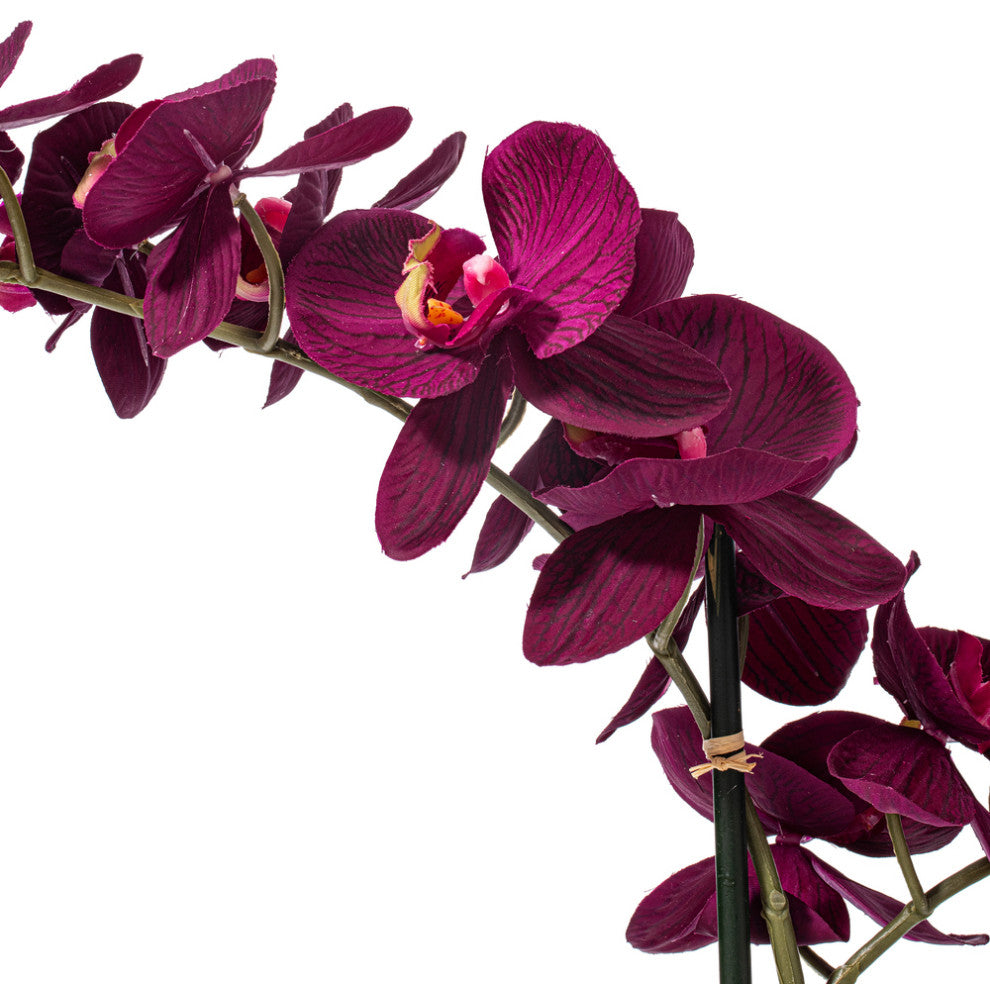 Vickerman 22" Phalaenopsis In Pot, Dark Purple