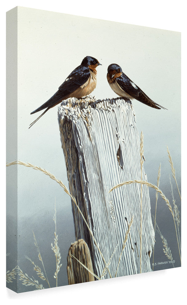 Ron Parker 'Barn Swallows On Fence Post' Canvas Art, 19"x14"