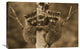 "Raccoon Two Babies Climbing Tree, North America - Sepia" Artwork, 32" x 24"