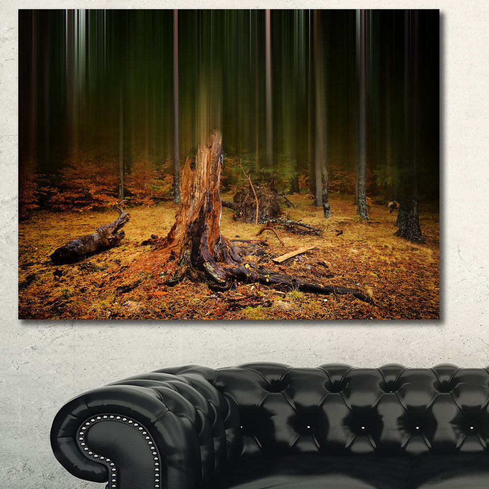 Dark Fall Forest on Foggy Morning, Landscape Canvas Art Print, 40"x30"