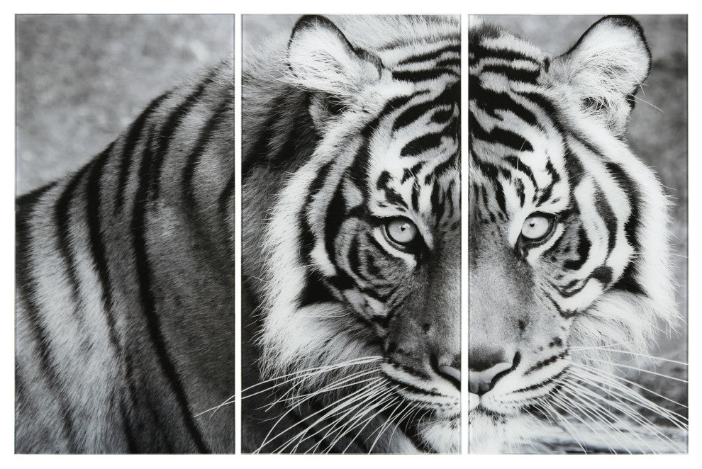 "Tiger ABC" Frameless Free Floating Tempered Glass Panel Graphic Wall Art Set