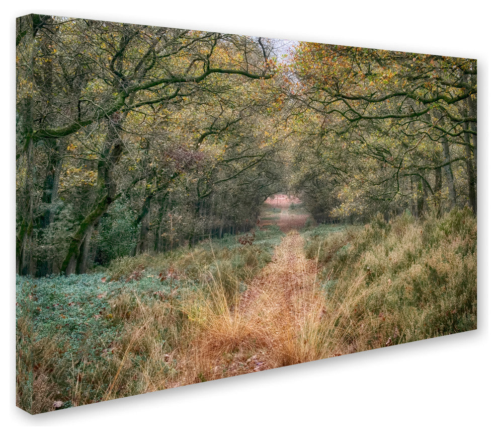 Cora Niele ''Autumn Walk'' Canvas Art