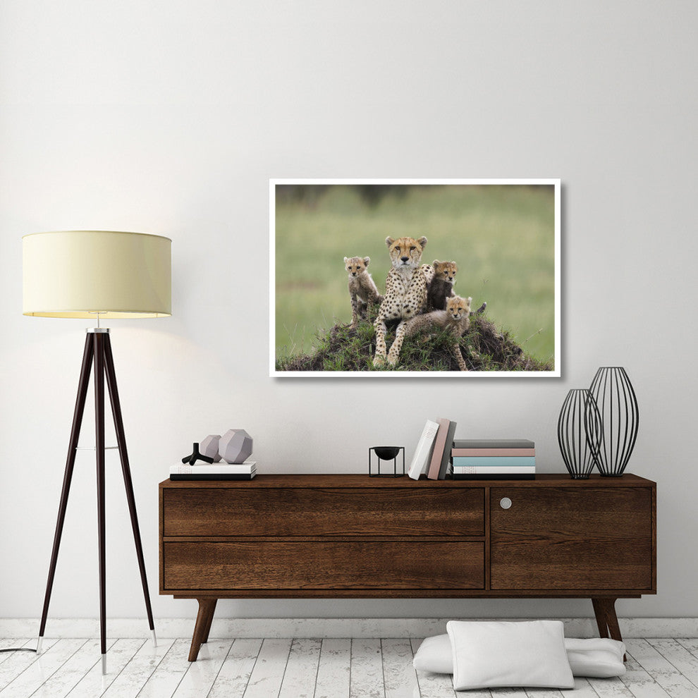 "Cheetah mother and 8-9 week old cubs, Maasai Mara Reserve" Paper Art, 50"x34"
