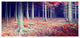 Beautiful Fall Forest Panorama, Large landscape Canvas Art Print, 60"x28"