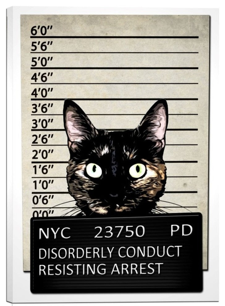 Cortesi Home "Kitty Mugshot" by Nicklas Gustafsson, Giclee Canvas Art, 40"x60"