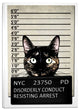 Cortesi Home "Kitty Mugshot" by Nicklas Gustafsson, Giclee Canvas Art, 40"x60"