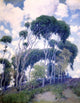 Guy Orlando Rose Laguna Eucalyptus Premium Canvas Print