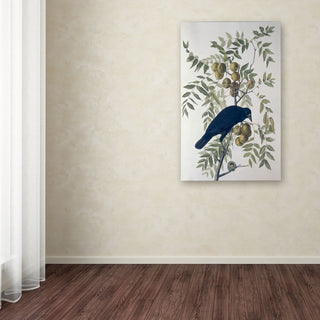 'American Crow' Canvas Art by John James Audubon