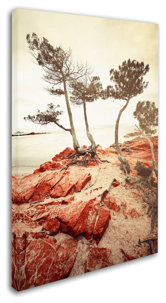 'Union' Canvas Art by Philippe Sainte-Laudy