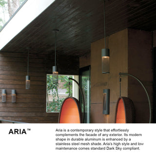 Hinkley Aria Medium Wall Mount Lantern, Black