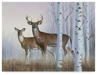 Rusty Frentner 'Deer In Birch Woods' Canvas Art, 47"x35"