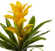 15" Bromeliad Artificial Flower, Set of 4, Yellow